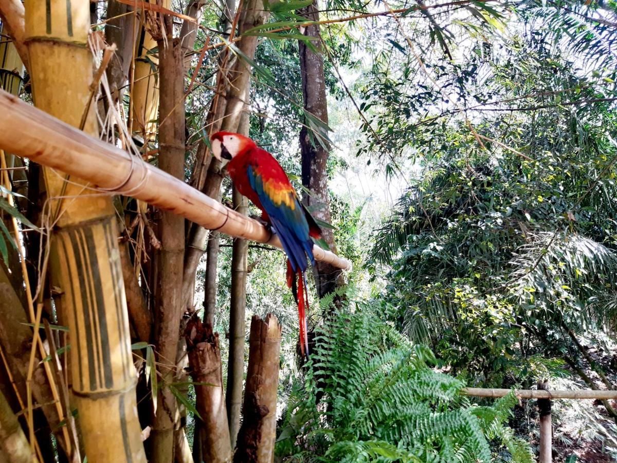 Casa Campo Emaus Caucasia エクステリア 写真