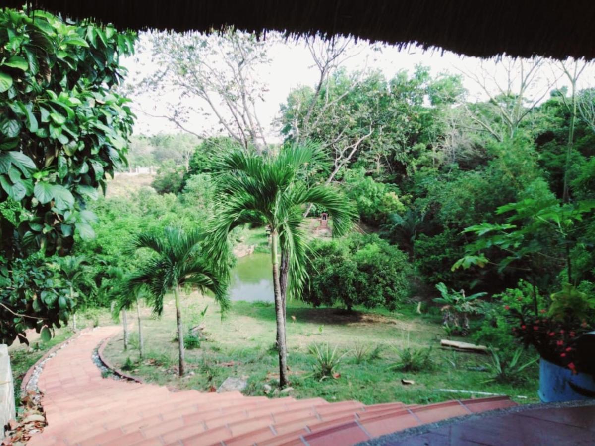 Casa Campo Emaus Caucasia エクステリア 写真