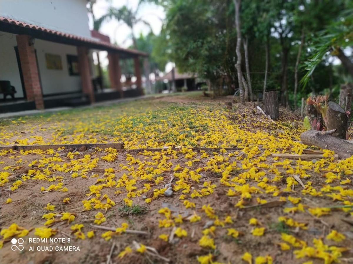 Casa Campo Emaus Caucasia エクステリア 写真